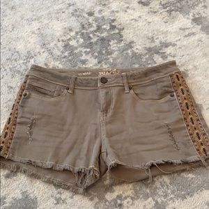 Buckle Black Women’s shorts